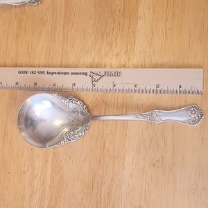 Rogers & Son AA "Flower" Pattern casserole spoon.